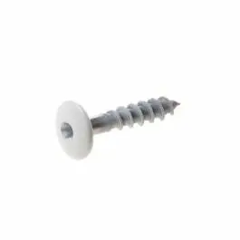 Wereldwijde Verzending TRESPA KLEURSCHROEF 4.8X38 - RAL 7016 (Per 100 stuks)