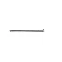 Uitverkoop 4tecx RVS nagels 304 verloren kop 1,6 x 25mm 1kg