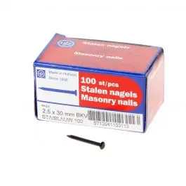 Uitverkoop Hjz Stalen nagel bombe kop 30 x 2.5mm